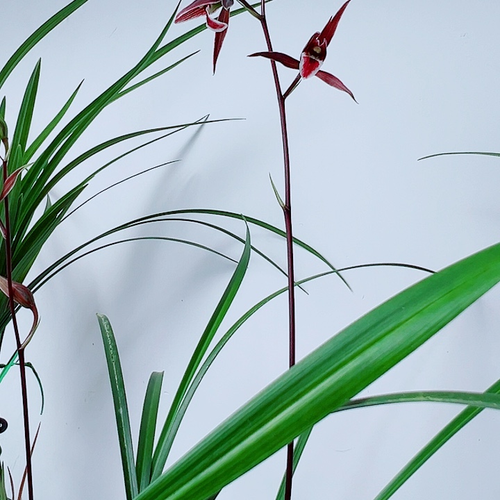 活***生完全开放一物一拍