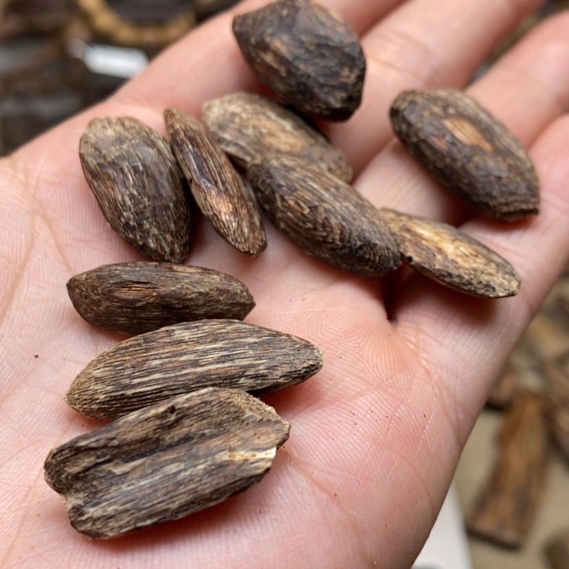 【闪购商品】沉香碎屑沉香密支那4.1克