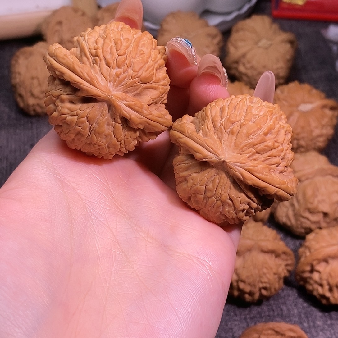 42维修白茶白狮子