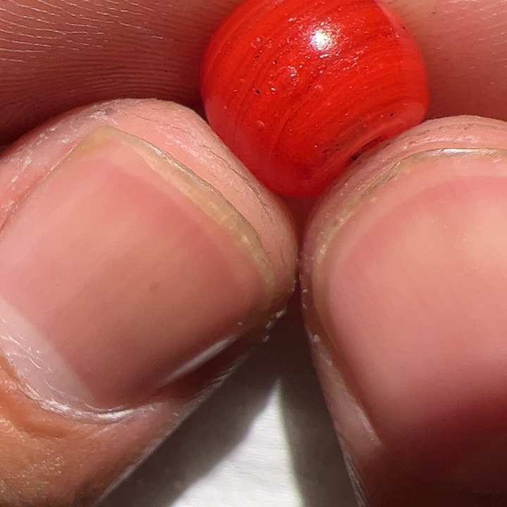 香榧木你的时候你是