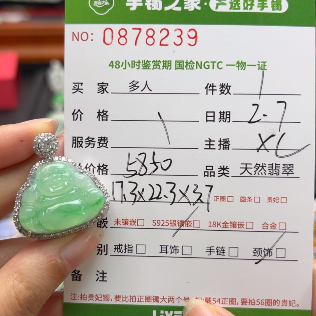 【闪购商品】翡翠颈饰银S925镶嵌多人