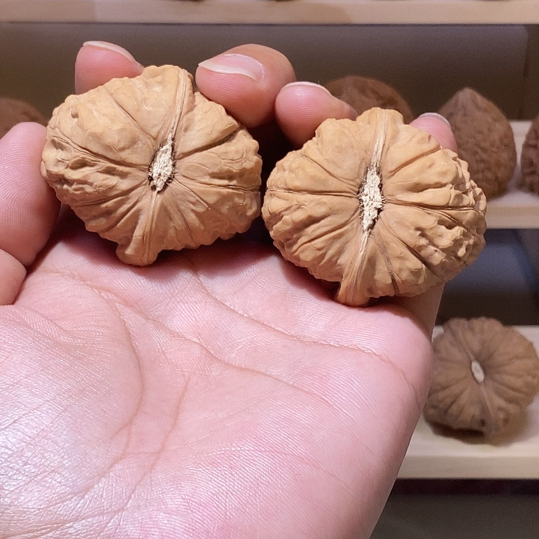 吊坠文玩核桃肚48，边44南瓜墩，全品