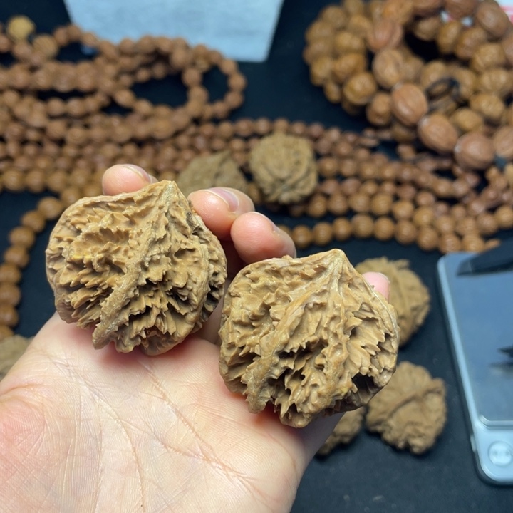 文玩核桃把件岁**声秦岭霸王花43有修