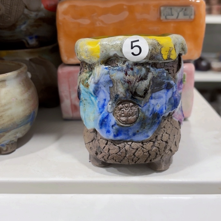 红陶树**止内口5.5左右