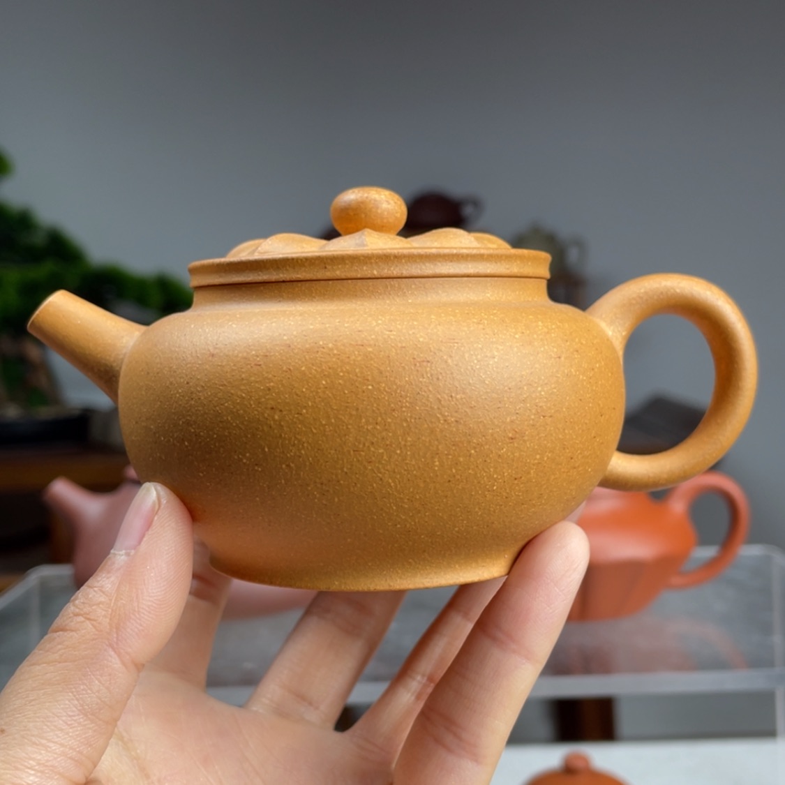 【闪购商品】紫砂茶壶黄段莲灯容量170cc