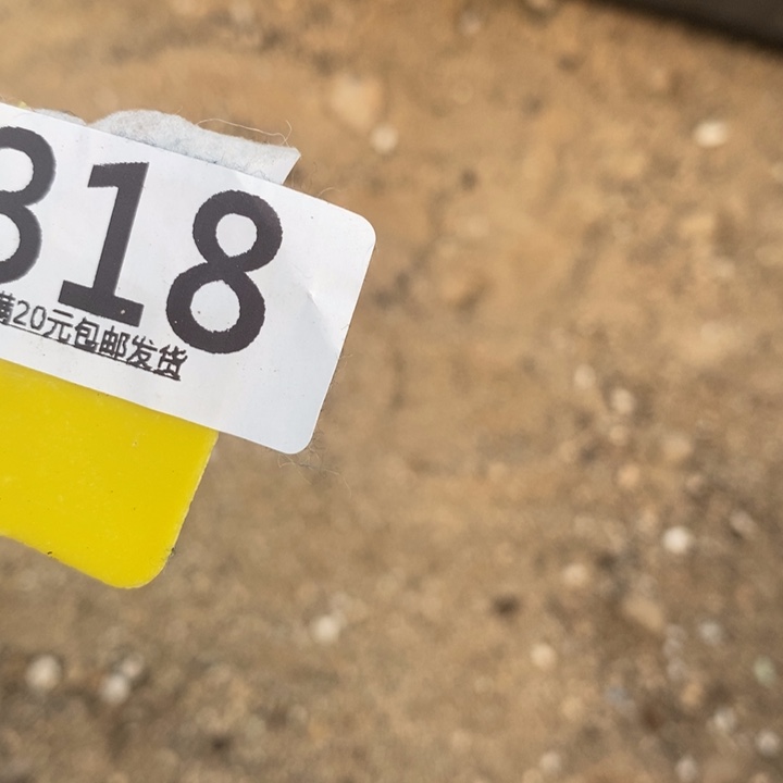 初***琪生石花等植物的生长318