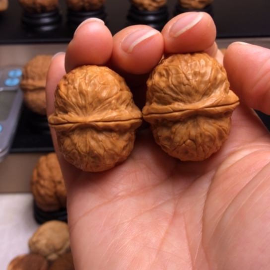 文玩核桃把件金龟子元宝24