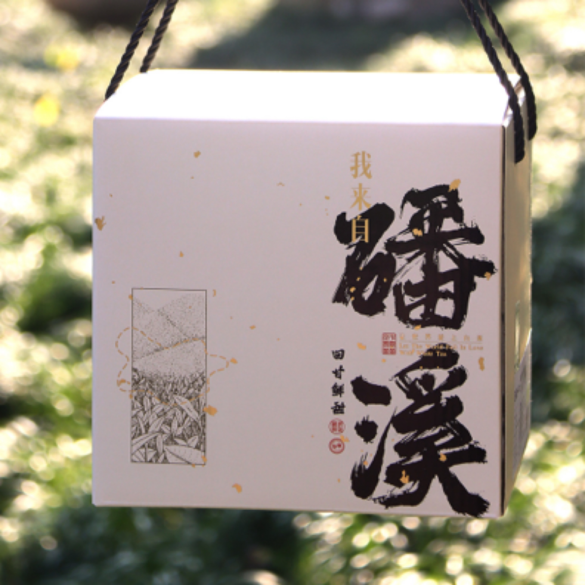 汤承一叶（福鼎磻溪）2021年荒野寿眉 粽香老白茶  