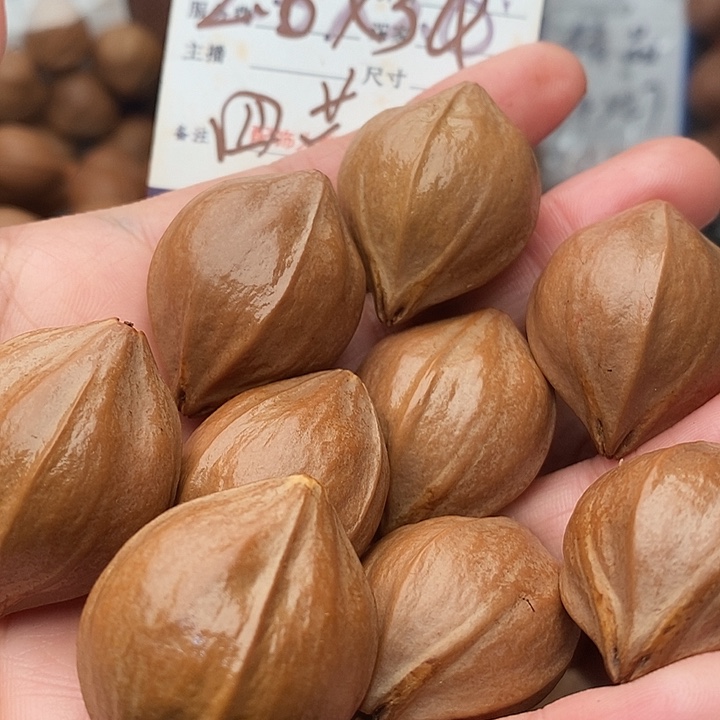 手串/手链橄榄核淄**哥