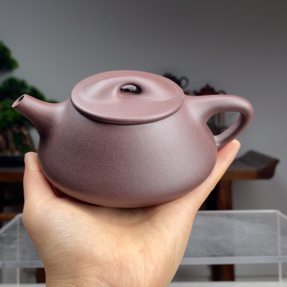 【闪购商品】紫砂茶壶砂性紫泥光明石瓢容量280cc