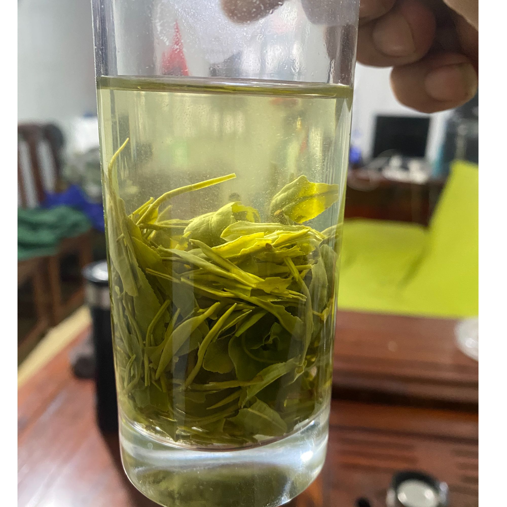 2025炒青绿茶普茶（1号）