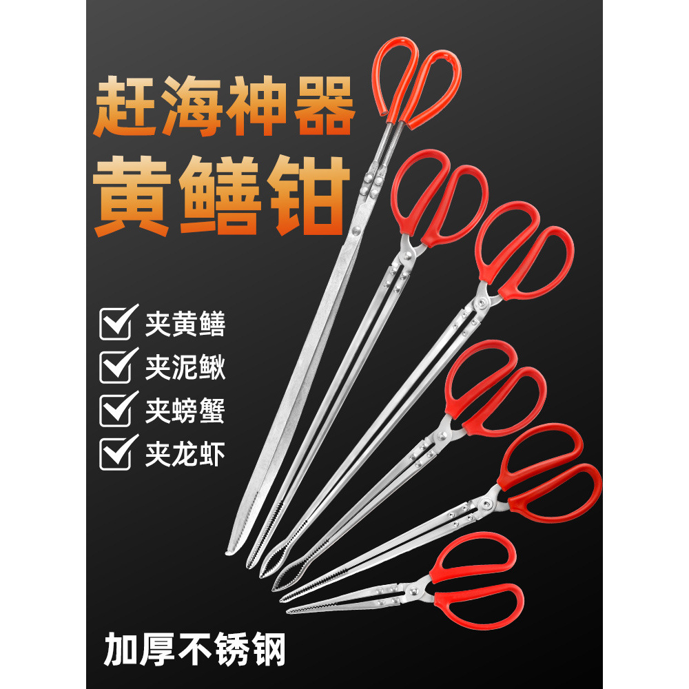 不锈钢子赶海神器防滑防脱鳝鱼夹泥鳅捕螃蟹抓龙虾专用工具
