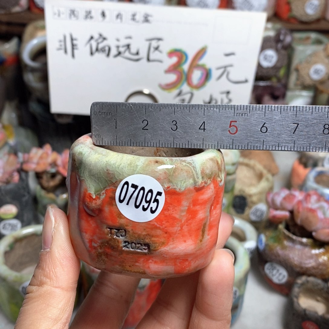 花盆拍3送一个小礼物