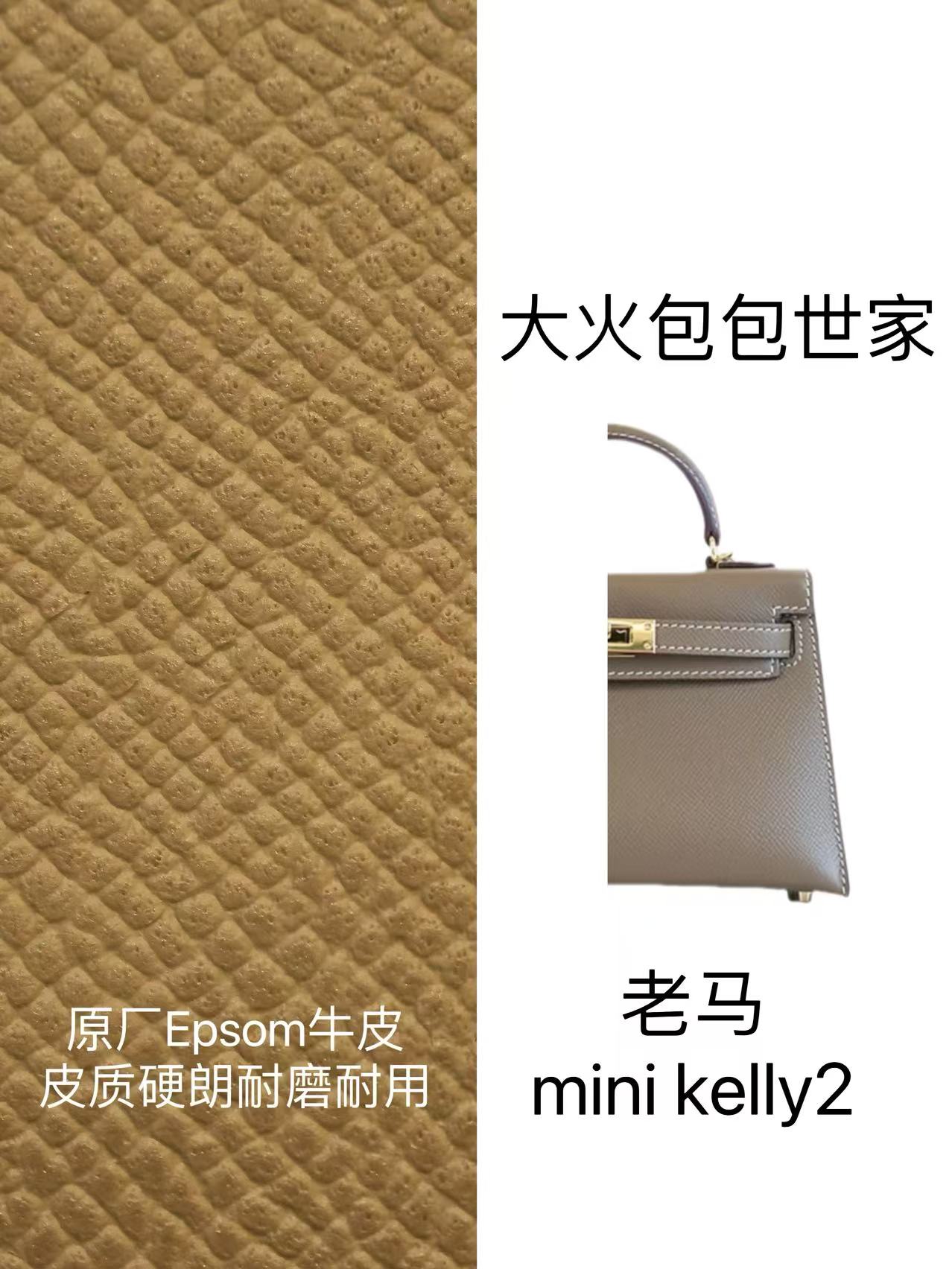 大火包包世家 小众单肩斜挎休闲气质女包 mini凯莉