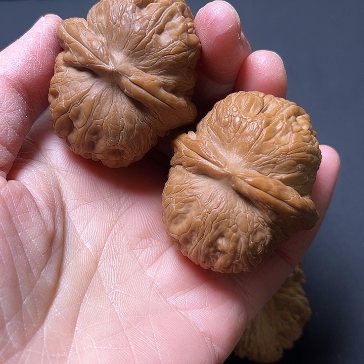 核桃元宝白茶全品45+