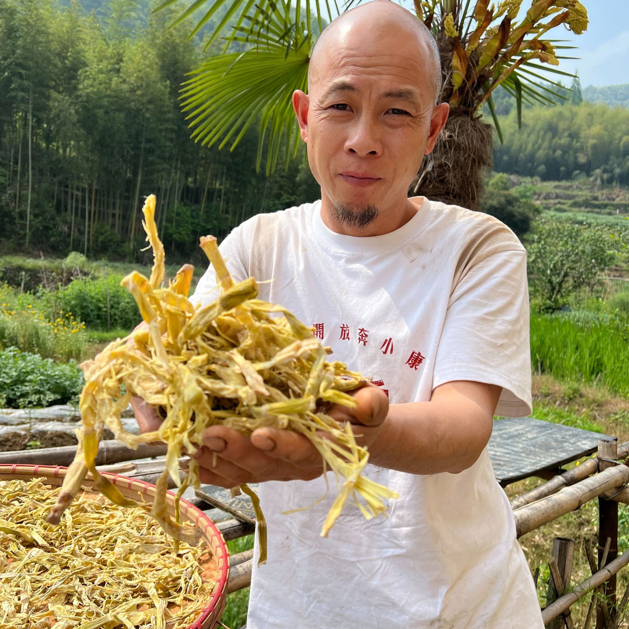 农家自晒青笋干天然美味特产