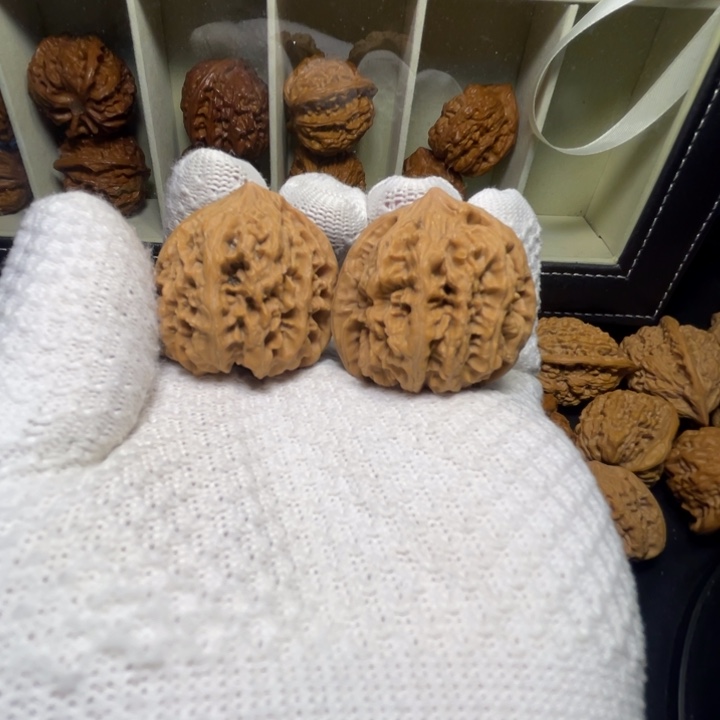 文玩核桃把件野牛41