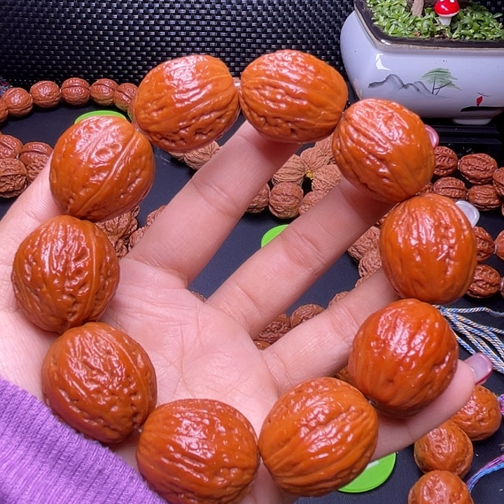 文玩核桃手串金丝猴大枣24