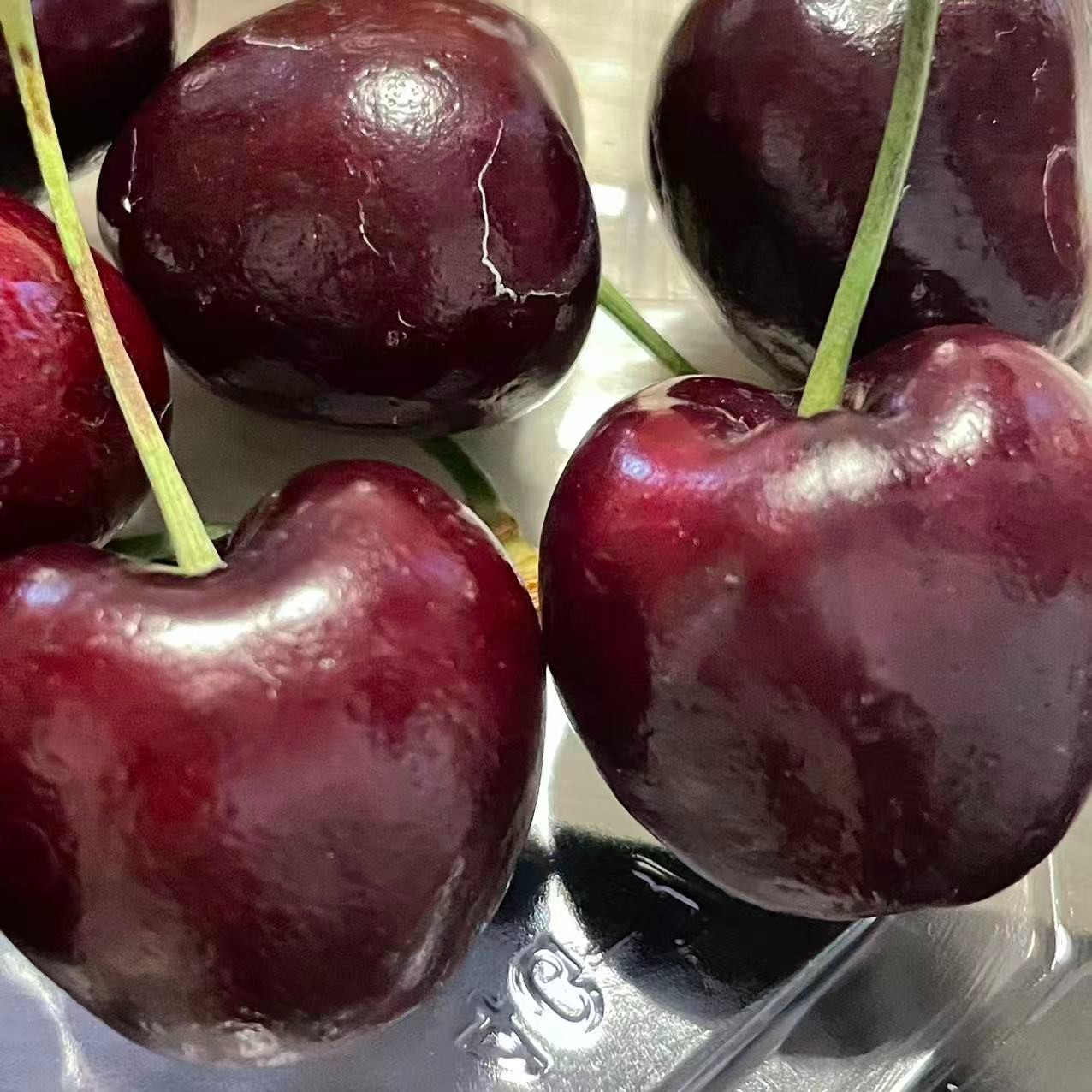 五斤智利进口海运车厘子桑缇娜2JD-4JD级黑车脆甜 南宁同城小时达桑提娜智利