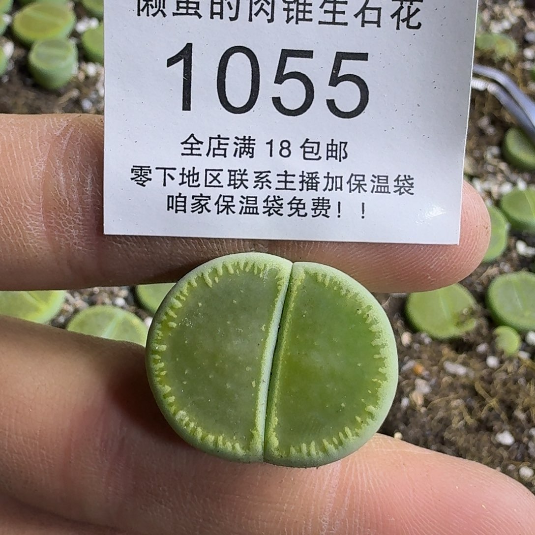 悠***雪1055 哈哈哈哈哈哈哈哈哈