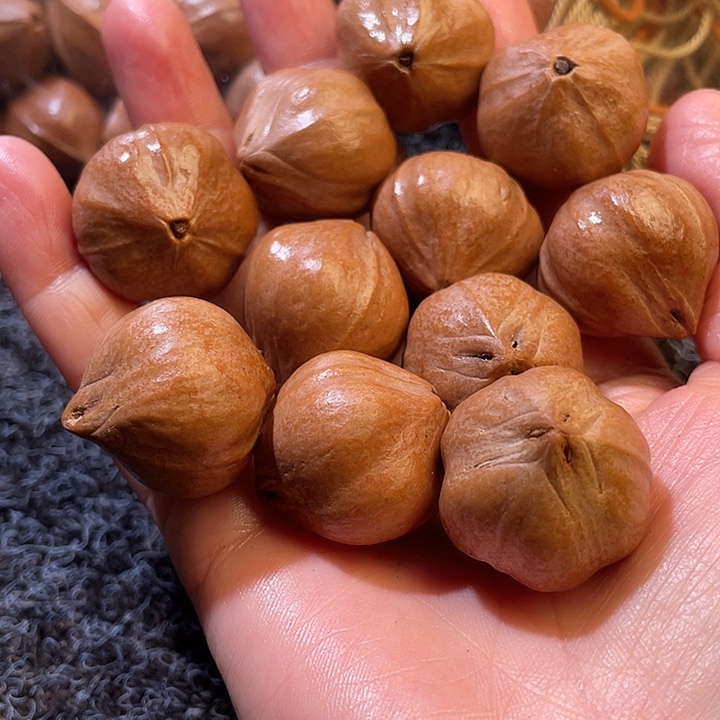 霸***崩吊坠橄榄核2.5✖️2.6