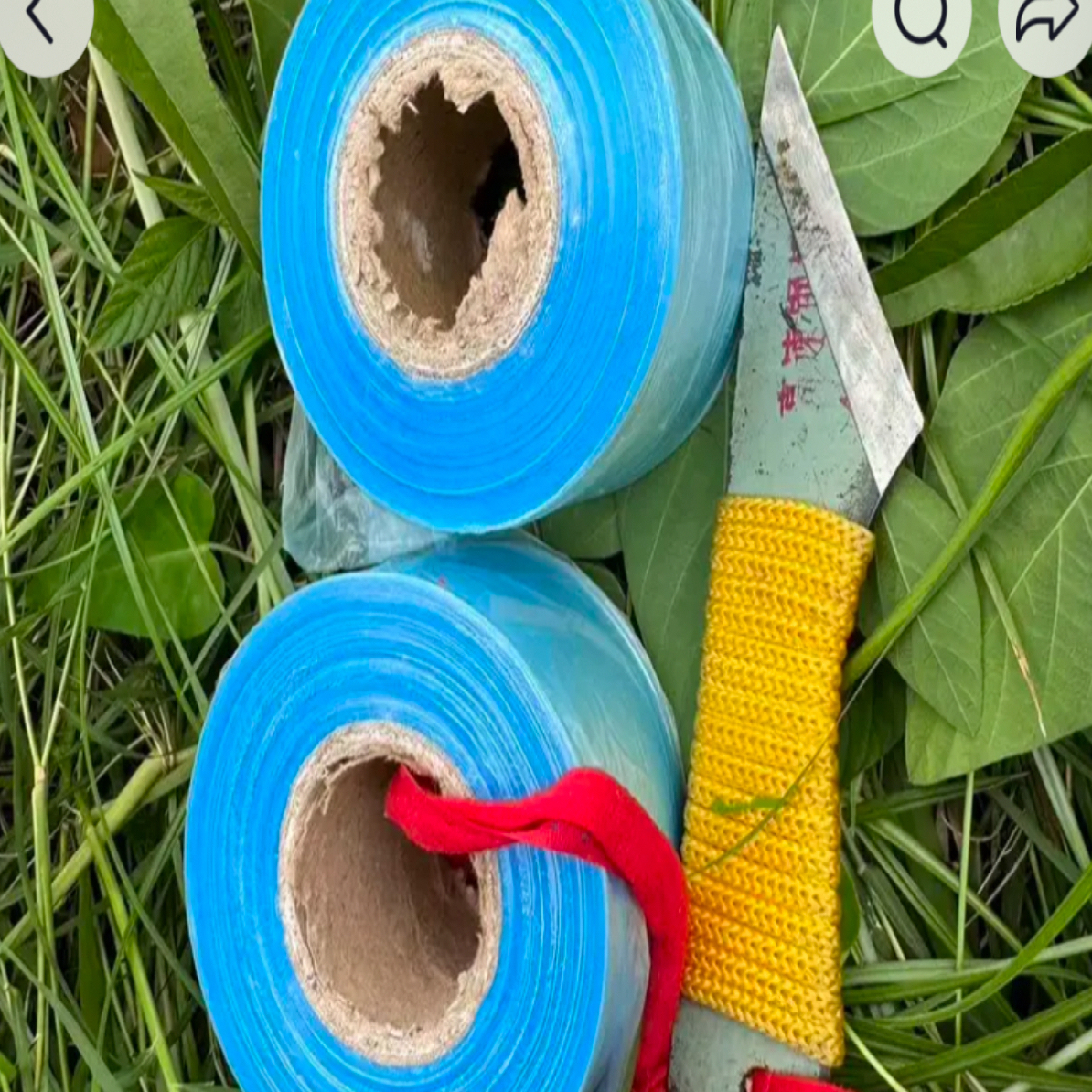 嫁接工具（大头嫁接刀）➕2个嫁接膜园艺工具