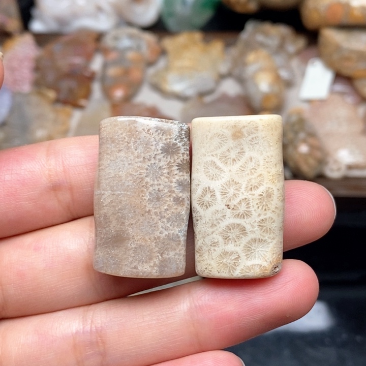 硅化珊瑚（珊瑚玉）手镯未镶嵌