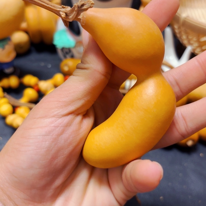 漠*8888888888888888