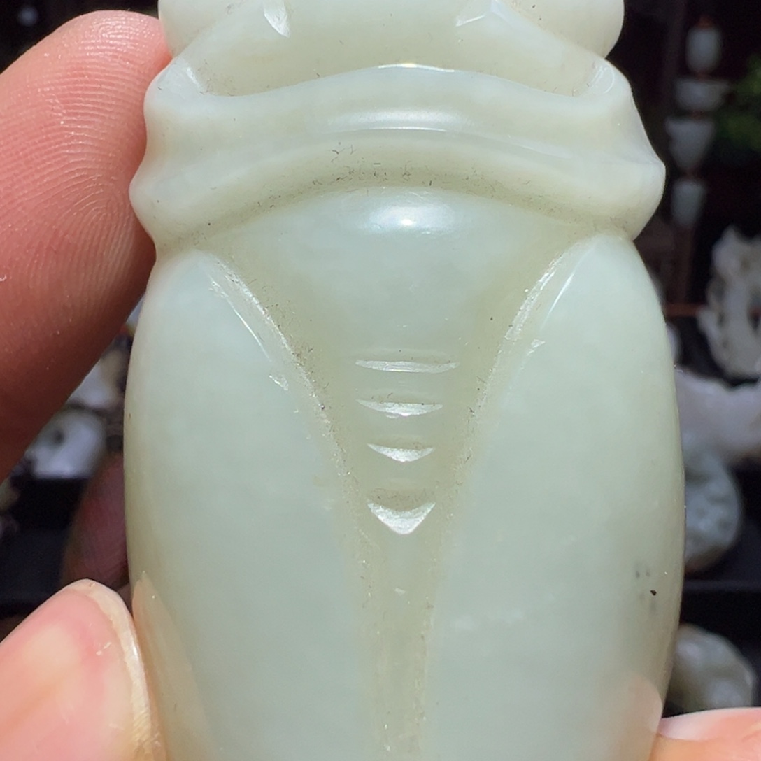 缸一物一图 所见所得