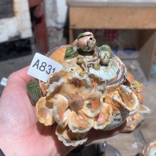 T****福利多多福利多多