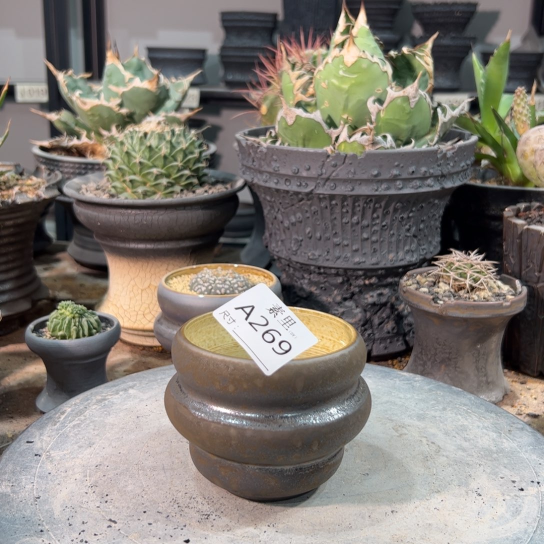 景德镇手工素里内口8高7.5