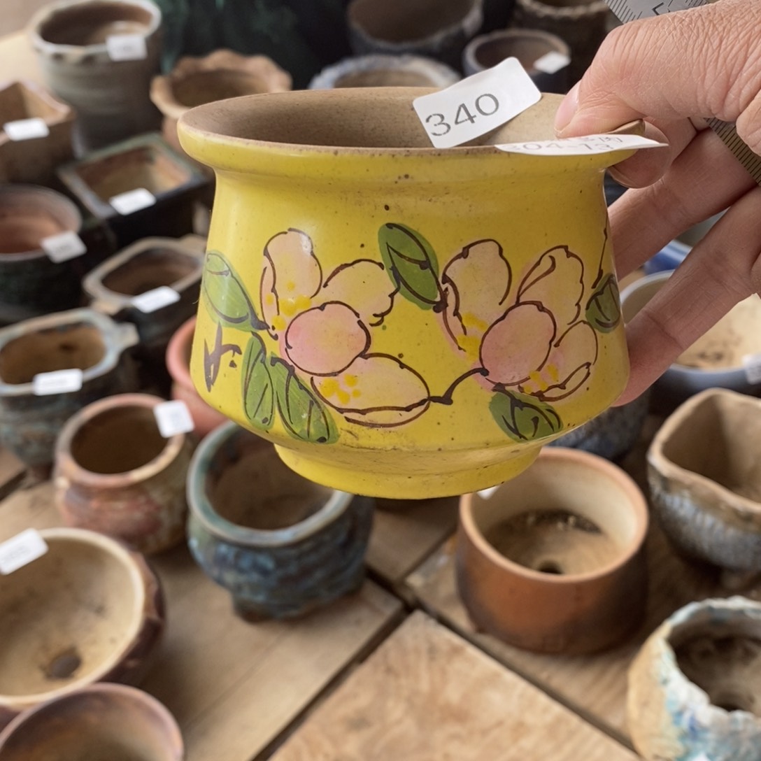 红陶敏*13号多肉盆一个呀