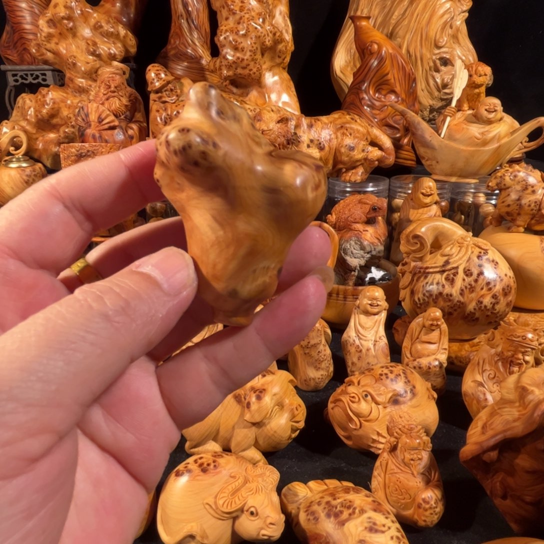 柏木（崖柏）太行崖柏 小白菜88