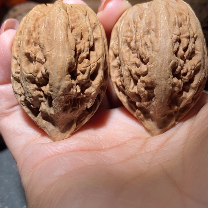 把件文玩核桃东北楸子小雪202