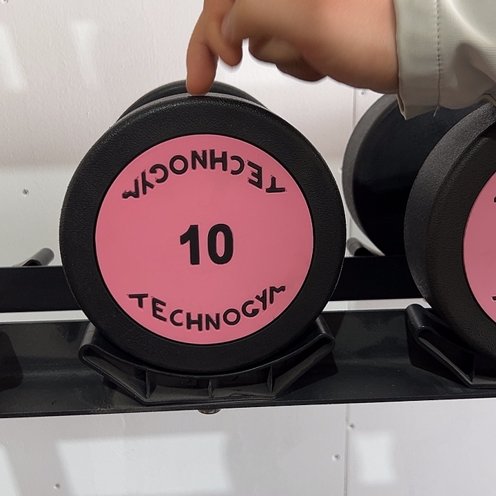 全新纯钢泰诺10公斤哑铃一对粉色