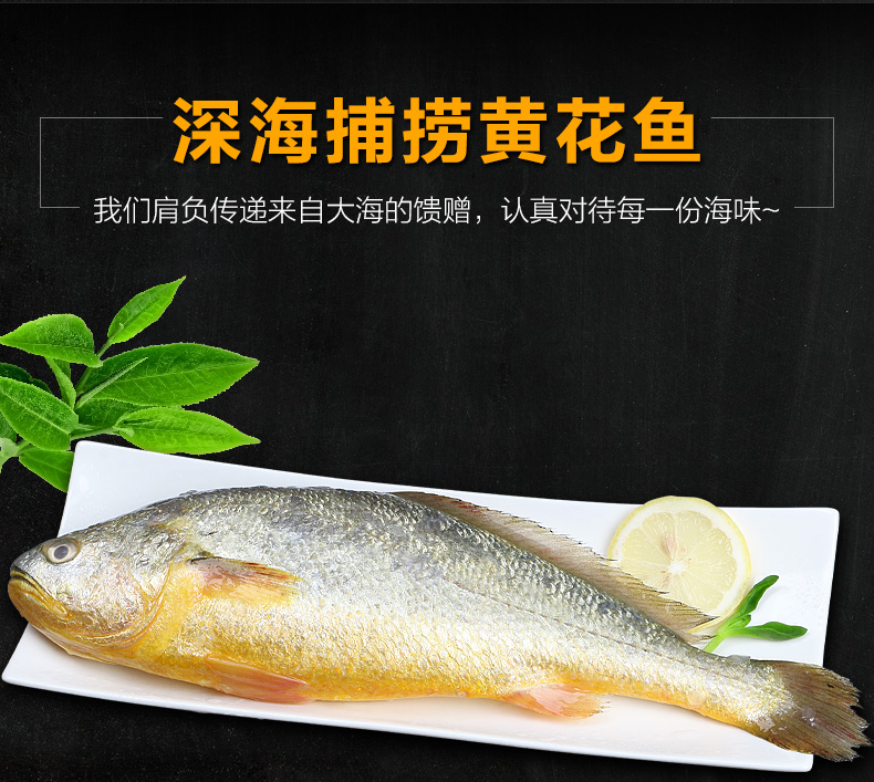 连云港发货  新鲜深海大黄花 黄花鱼4条装（450g-550g/）条急冻保鲜