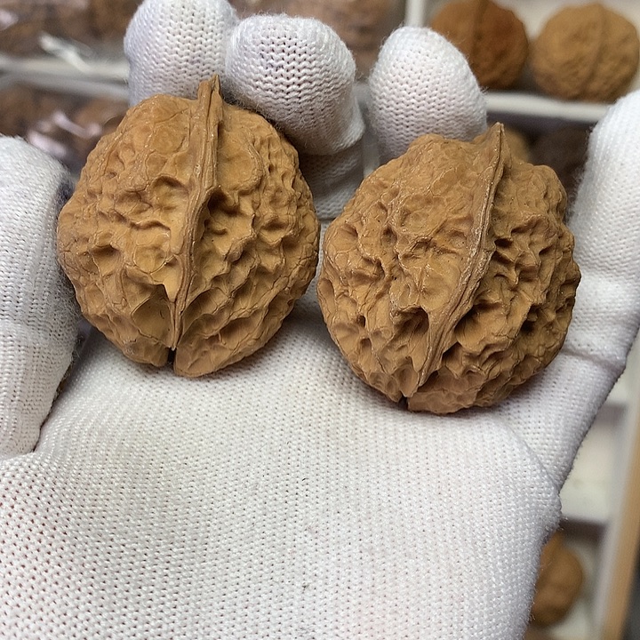 核桃39高桩铁核桃9号