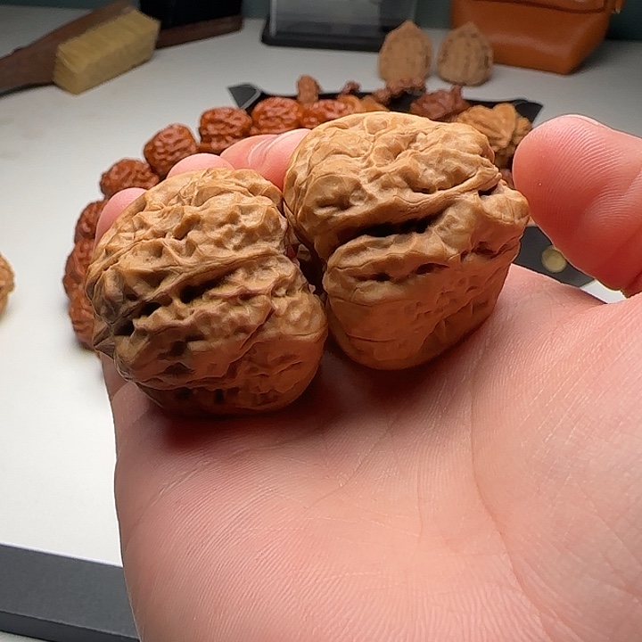 38-39-33肌肉蛙八腿开背B30号