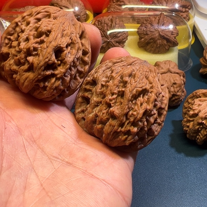 大***图核桃麦穗虎头45尺寸