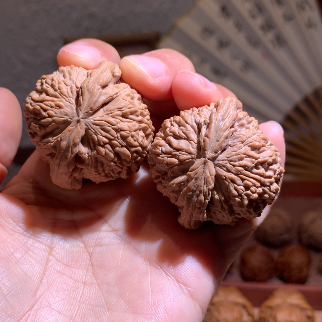 文玩核桃把件白狮子40