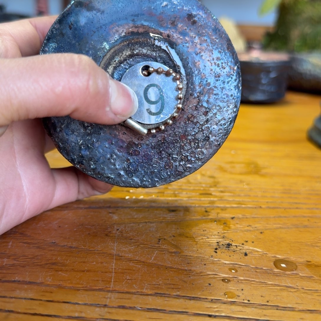 s****y荥经黑砂9号微瑕1只