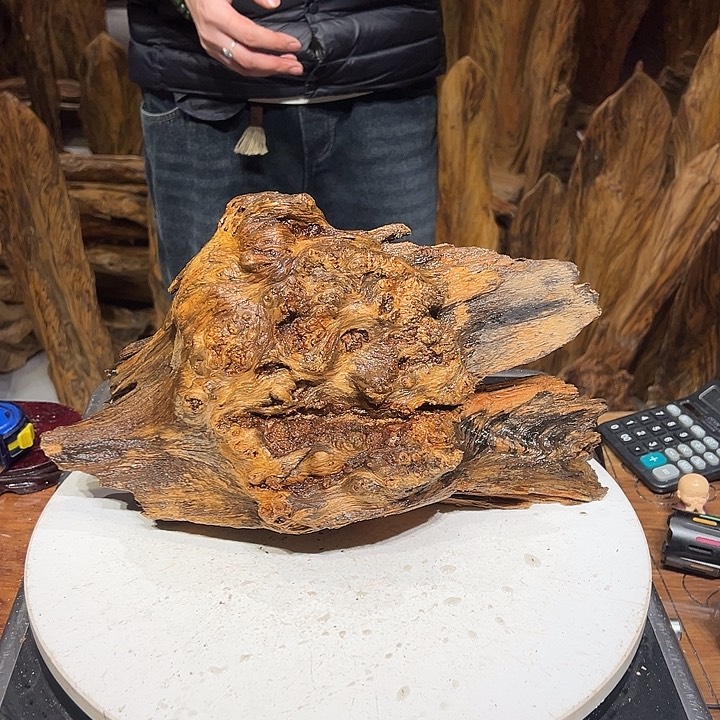 松木（琥珀木）云*扬