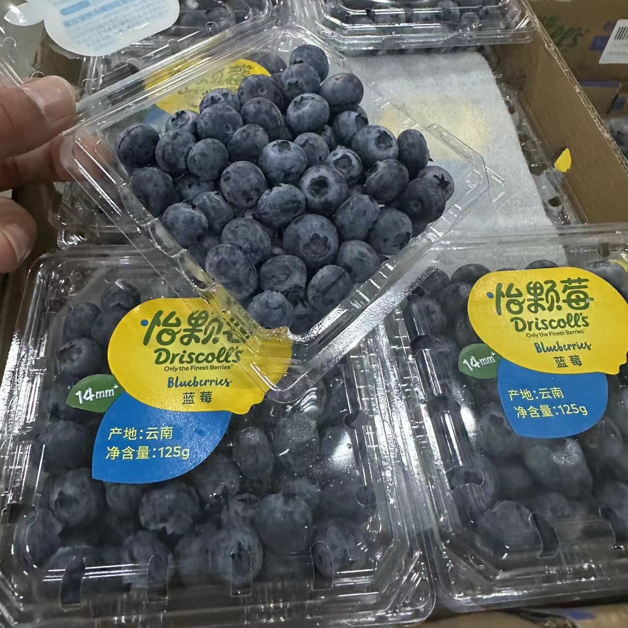 怡颗莓蓝莓（125g）1盒装吉林省