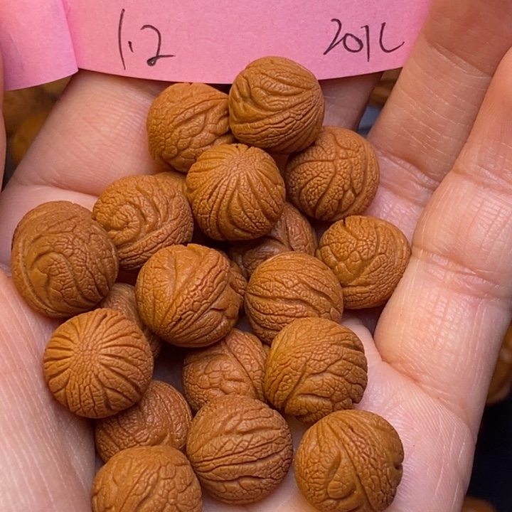 桃核吊坠秦岭龙纹桃核1