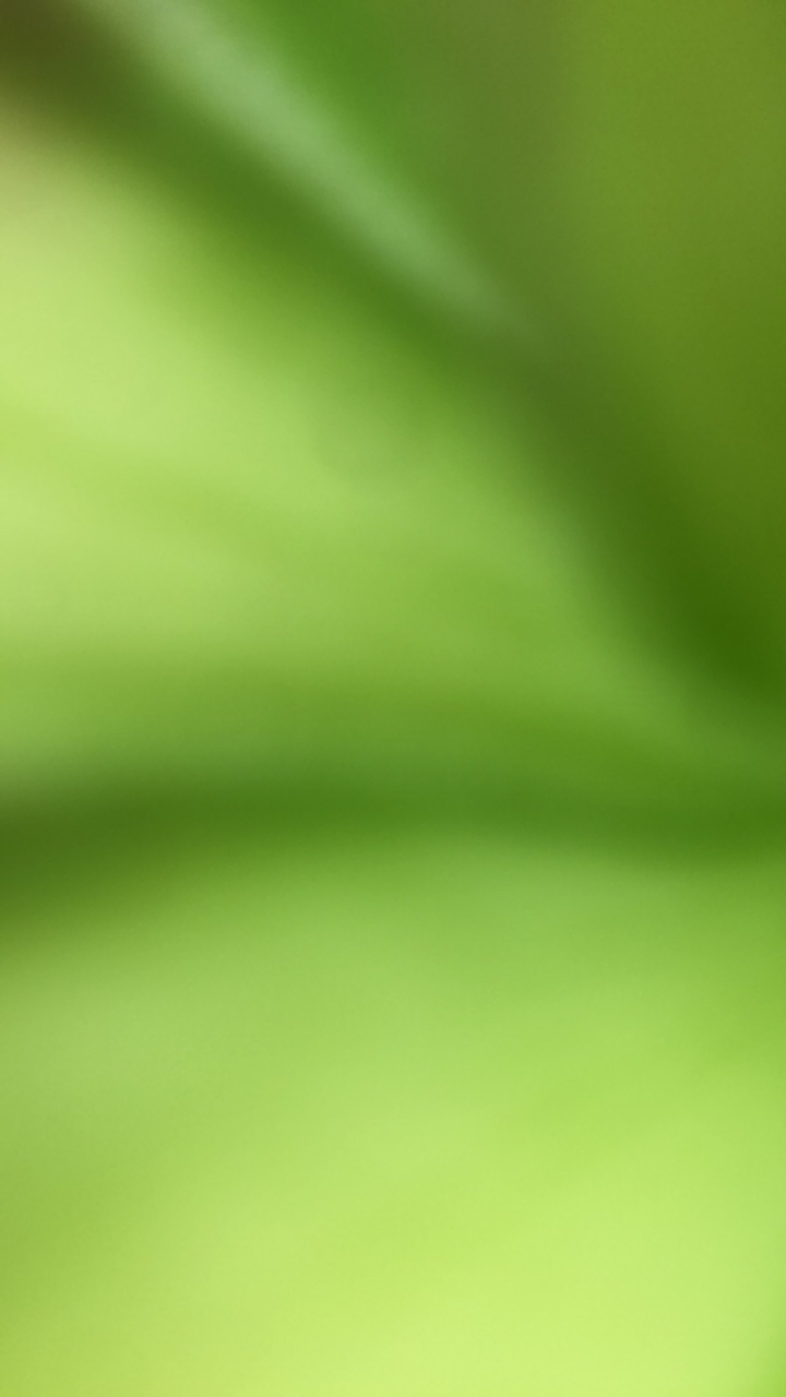 六单一起发货多肉植物