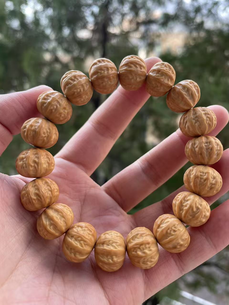 猴头京八棱单圈手串  A41