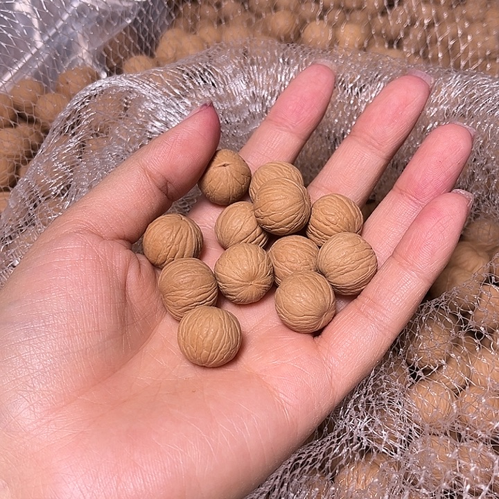 〆***づ手串猴头核桃聚宝盆二级籽