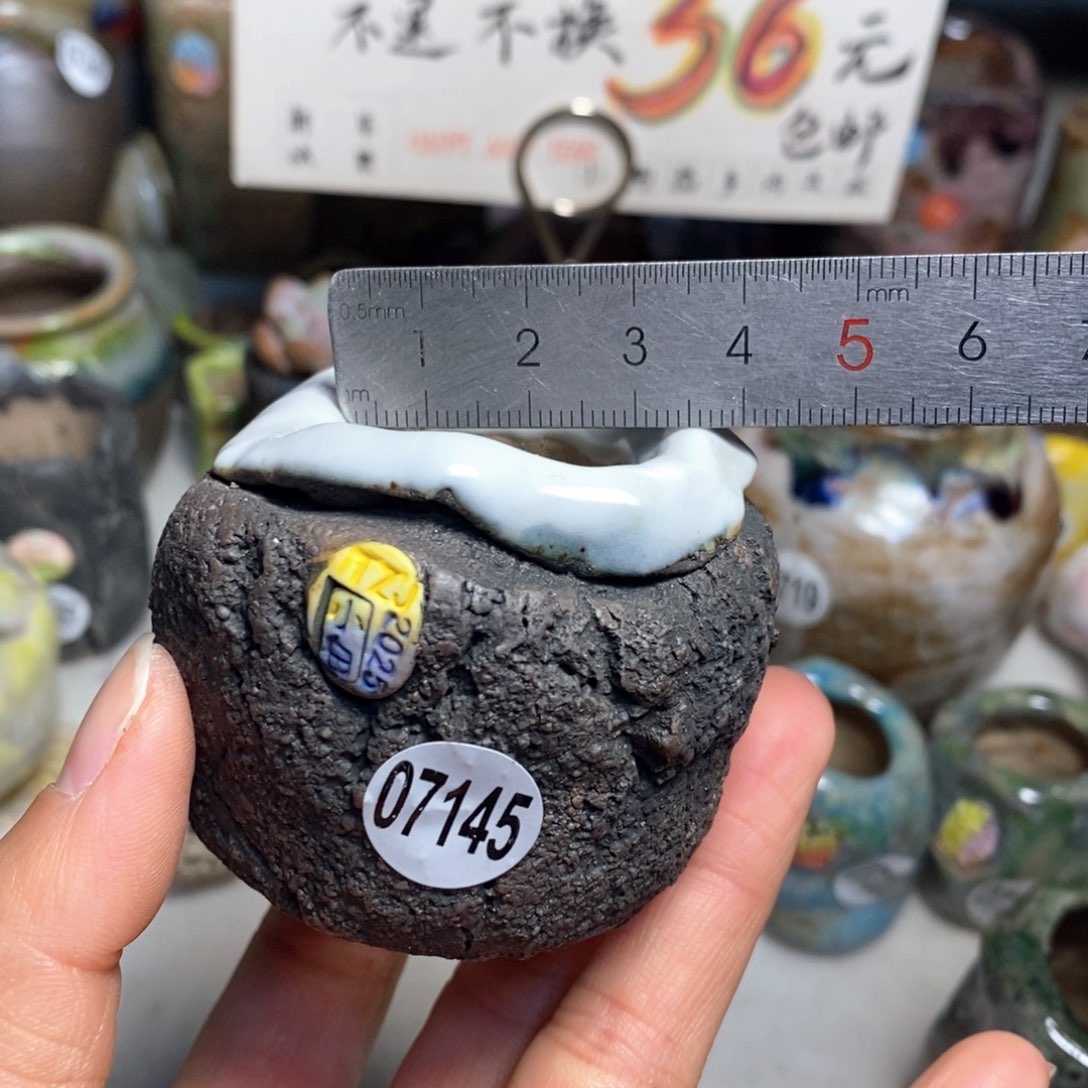 花盆拍3送一个小礼物