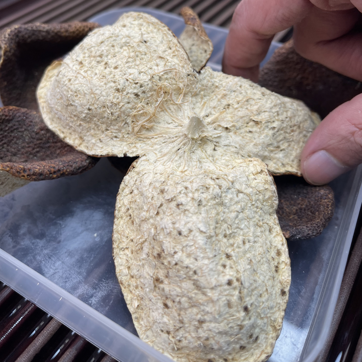 2022年天马高货大红皮