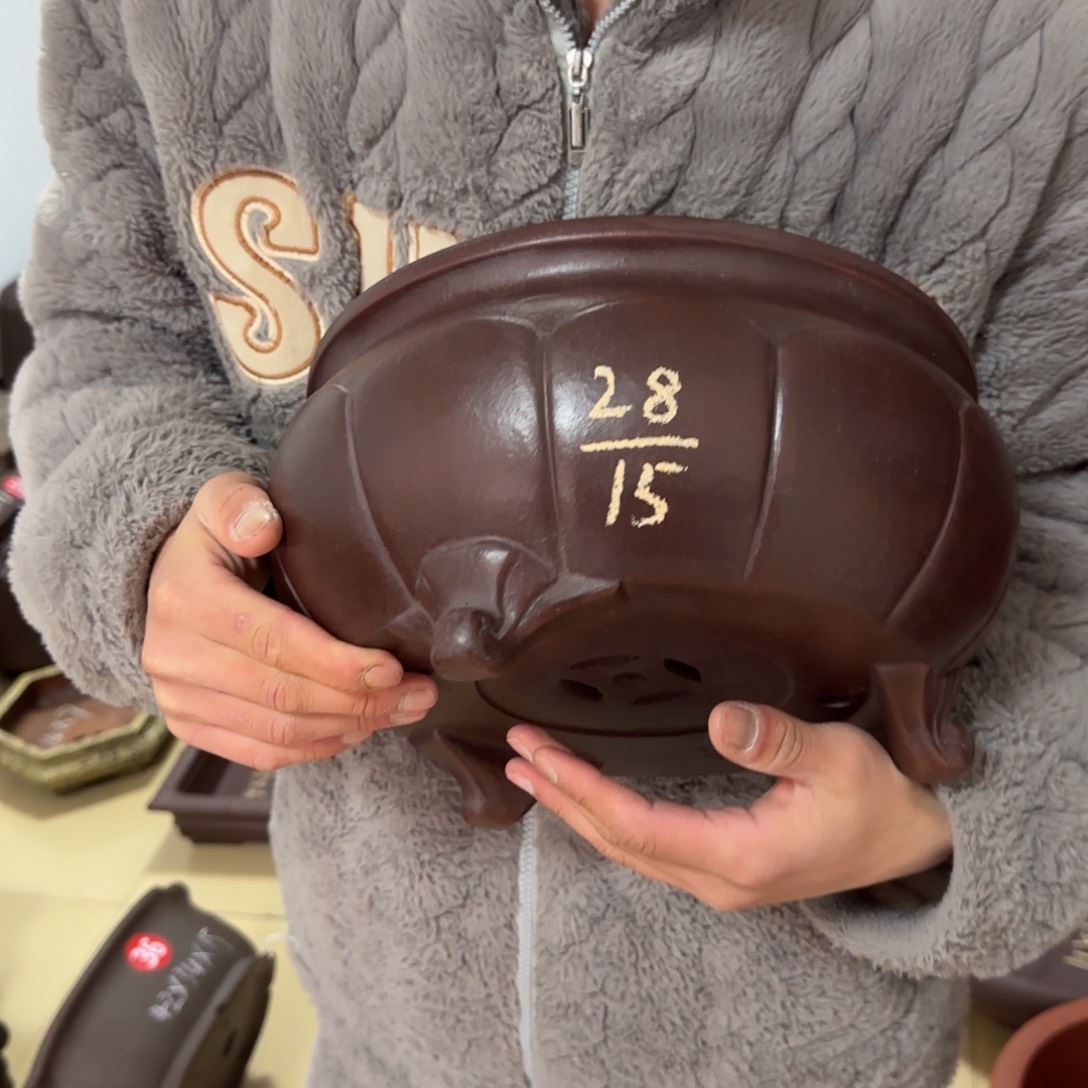 紫砂花盆呜呜呜呜